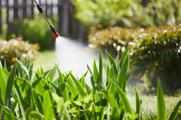 Tamper-Resistant Bait Stations for Rodents in Lafayette
