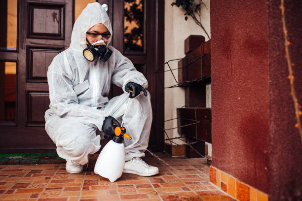 Attic and Crawl Space Rodent Treatment in Lafayette